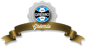 Гремио - чемпион Бразилии по футболу 1981 года в Серии А